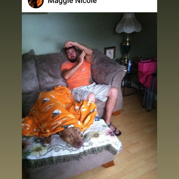 Meet your Posher, Jason - Picture 1 of 1